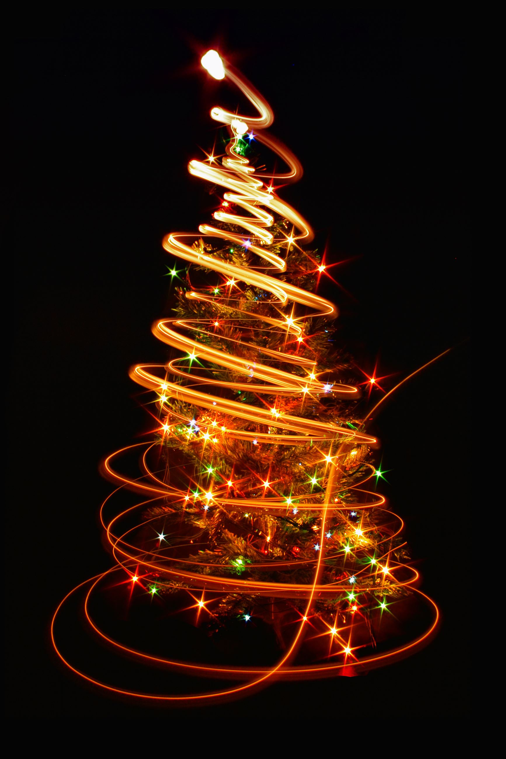 Christmas Tree Lighting