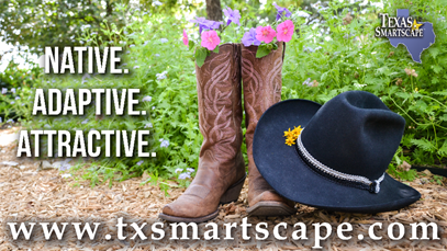 Texas SmartScape Graphic