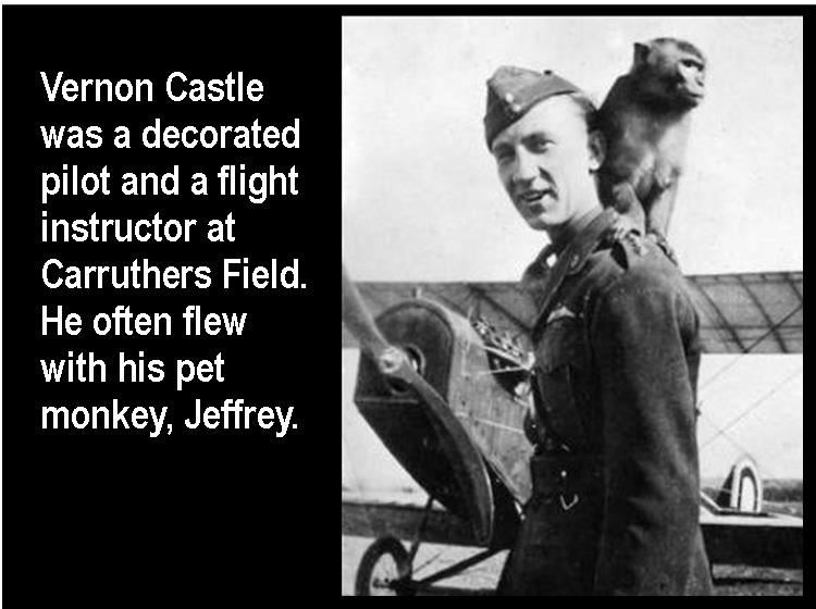 Vernon Castle Monkey Photo