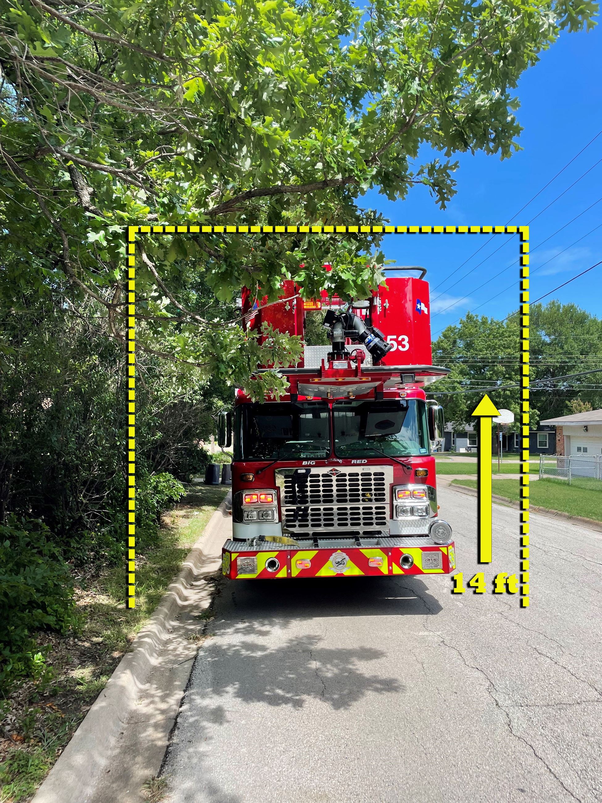 Ladder-vs-Tree-1-correct-format-use-this-one